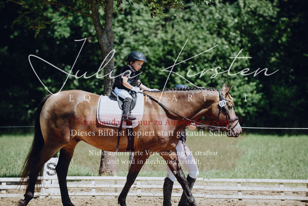 DSC_2627 | Pferde- und Turnierfotografie in Westsachsen. Pferdeportraits, Auftragszeichnungen und intuitive Kunst.