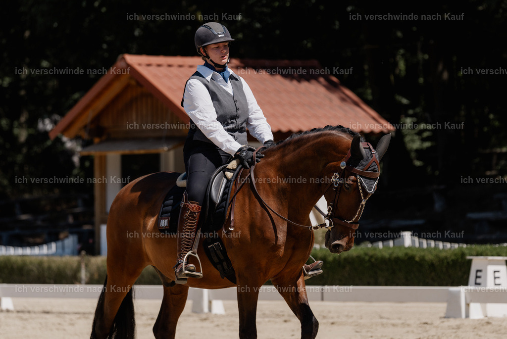 WE_DR_80_SinaFilmArt_IN03386 | working equitationturnier fotograf videograf stoibphotography marixx film working equitation deutschland reitsport turnierfotografie eventfotografie equestrian events
