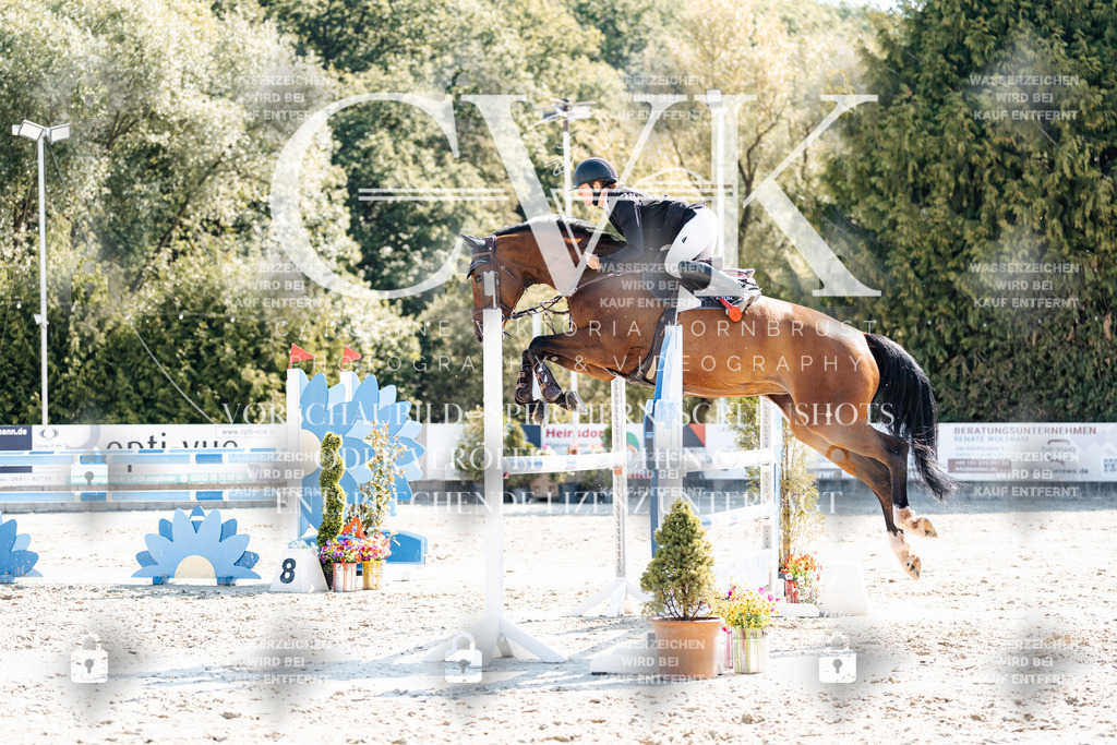 CK902706 | Turnierfotografie Pferdefotografie Trier Rheinland-Pfalz Pferdesport Reitsport Tierfotografie Sportfotografie Pferdevideo Pferdevideografie Equestrianvideography equestrianphotography  - Realisiert mit Pictrs.com