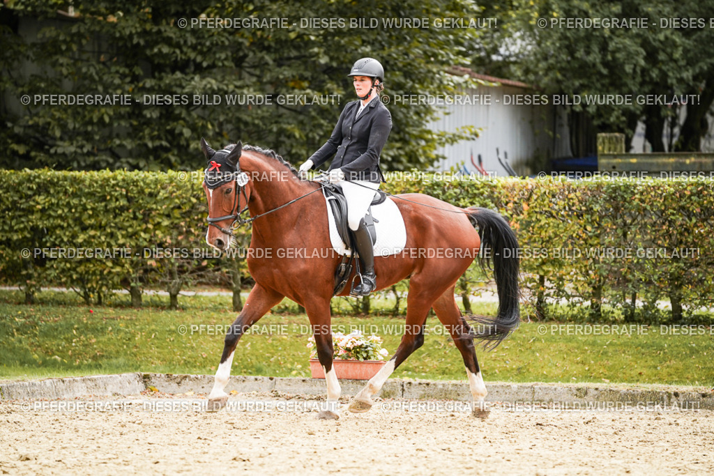 DSC03230 | Pferdegrafie