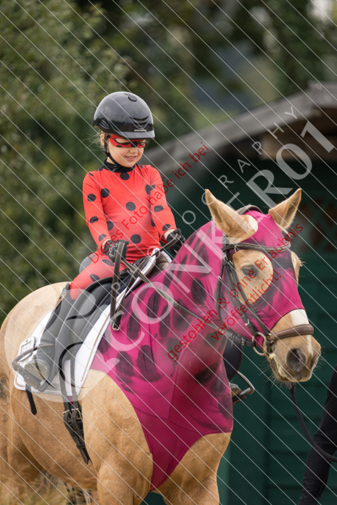 CON_3733 | Sport-, Event- und Tierfotos in Profiqualität. Einfach auswählen, bestellen und herunterladen. Dein Moment – perfekt festgehalten.