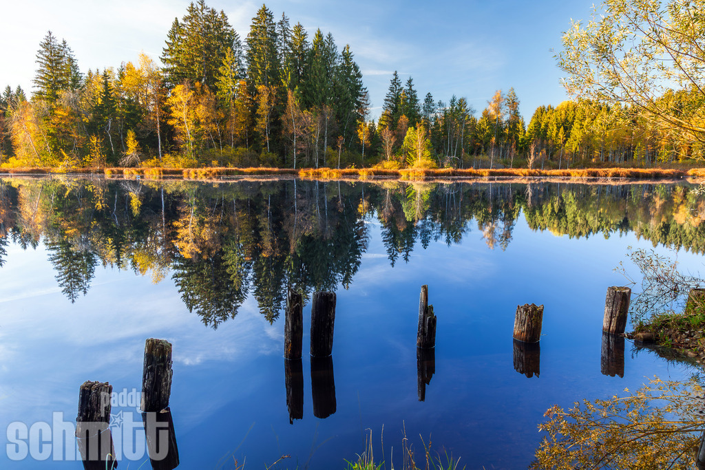 Waldsee im Herbst bei Lindenberg im Allgäu | Herbstliche Stimmung am Waldsee bei Lindenberg im Allgäu, umgeben von den warmen Farben des herbstlichen Waldes. Die ruhige Wasseroberfläche und die natürliche Landschaft vermitteln eine besondere Atmosphäre. - Realisiert mit Pictrs.com