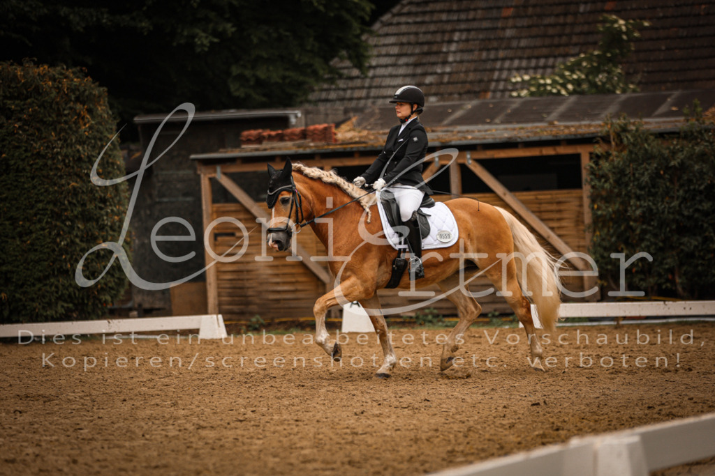 DoDrA200042 | Leoni Ertmer Photography - Realisiert mit Pictrs.com