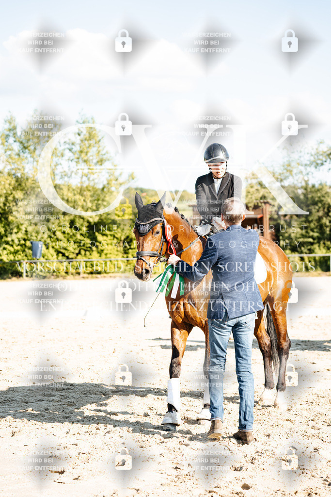 CK703588 | Turnierfotografie Pferdefotografie Trier Rheinland-Pfalz Pferdesport Reitsport Tierfotografie Sportfotografie Pferdevideo Pferdevideografie Equestrianvideography equestrianphotography  - Realisiert mit Pictrs.com