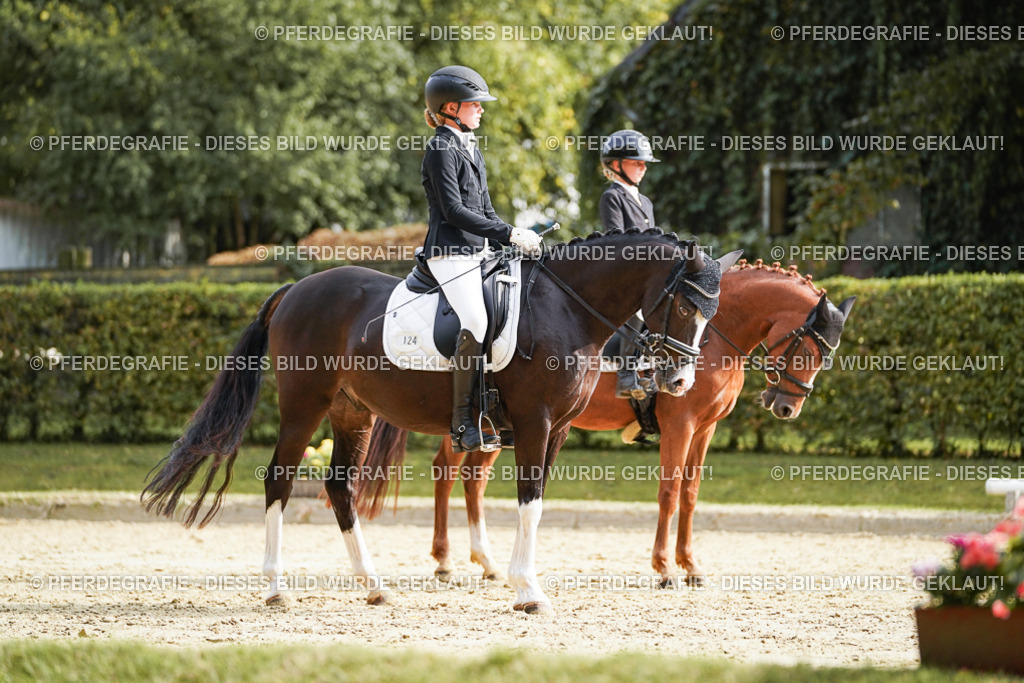 DSC05013 | Pferdegrafie