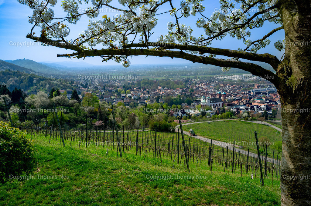 Kirchberg-Bensheim-Bergstrasse-Fotografie_Thomas-Neu_2 | ,Bensheim, Blick vom Kirchberg in Richtung Süden und auf die Innenszadz mit der Pfarrkirche Sankt Georg. im Hintergrund die Starkennburg in Heppenheim, Bild: Thomas Neu
