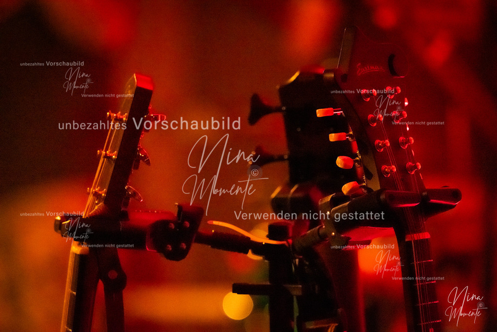 _16A3200-1 | Einzigartige Fotos von Hunden & Menschen –Actionfotos, Portraits, Vereinsaufnahmen & Paarshootings – authentisch, lebendig & mit Herz.