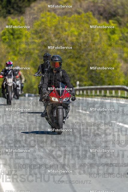 MSFotoServiceXXX115 | MSFotoService - Realisiert mit Pictrs.com