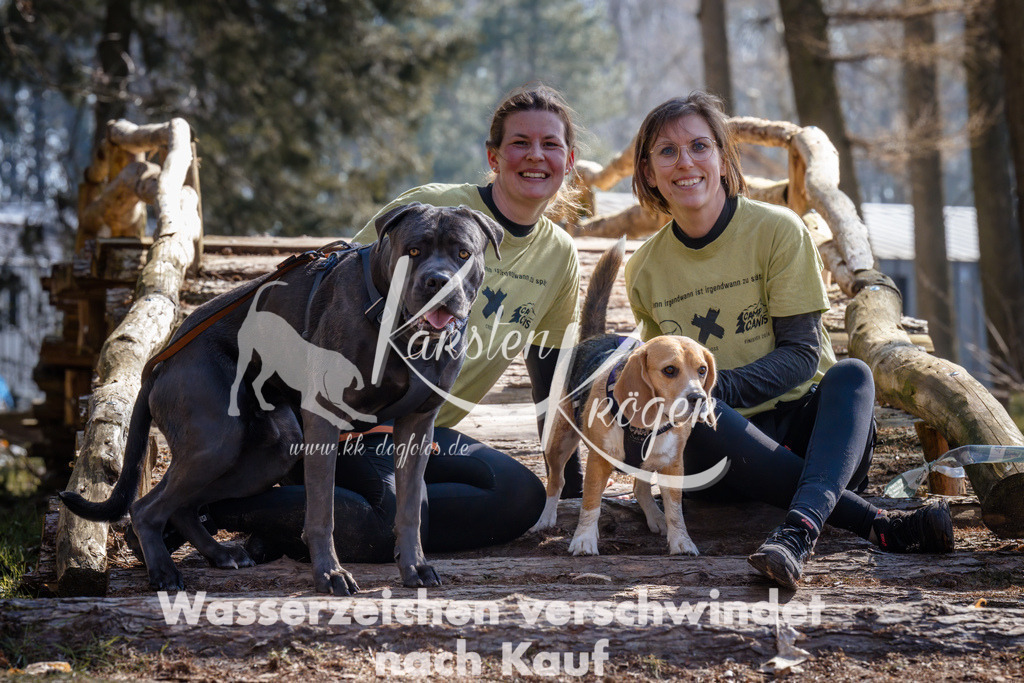 1330_ZZ95331 | kk-dogfotos