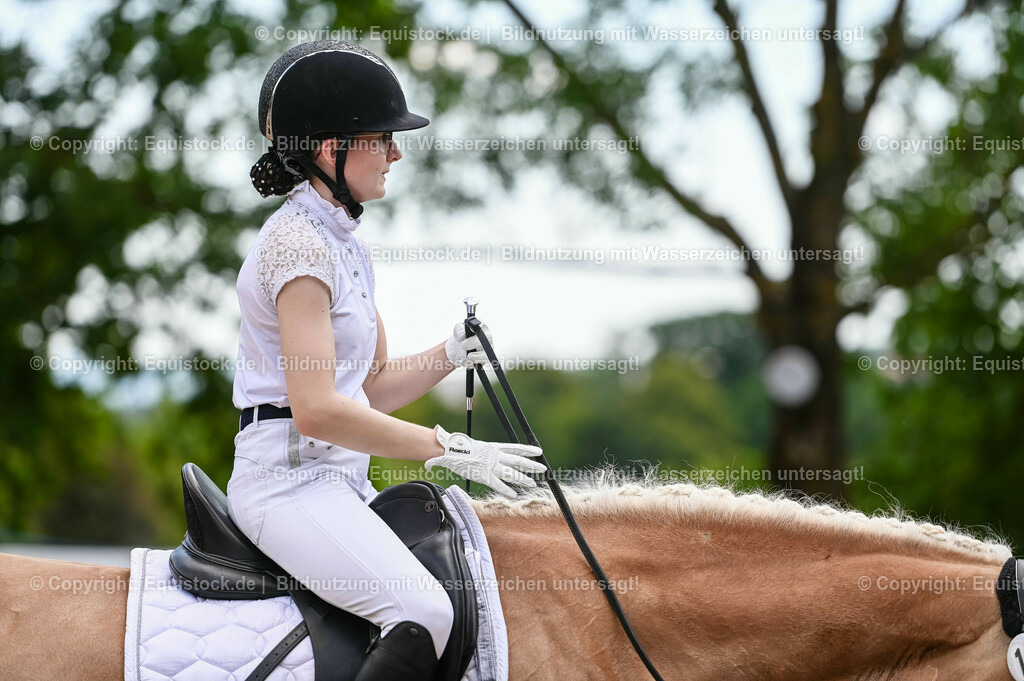 20230715_05_Dressurprüfung Kl.A++_0124 | equistock