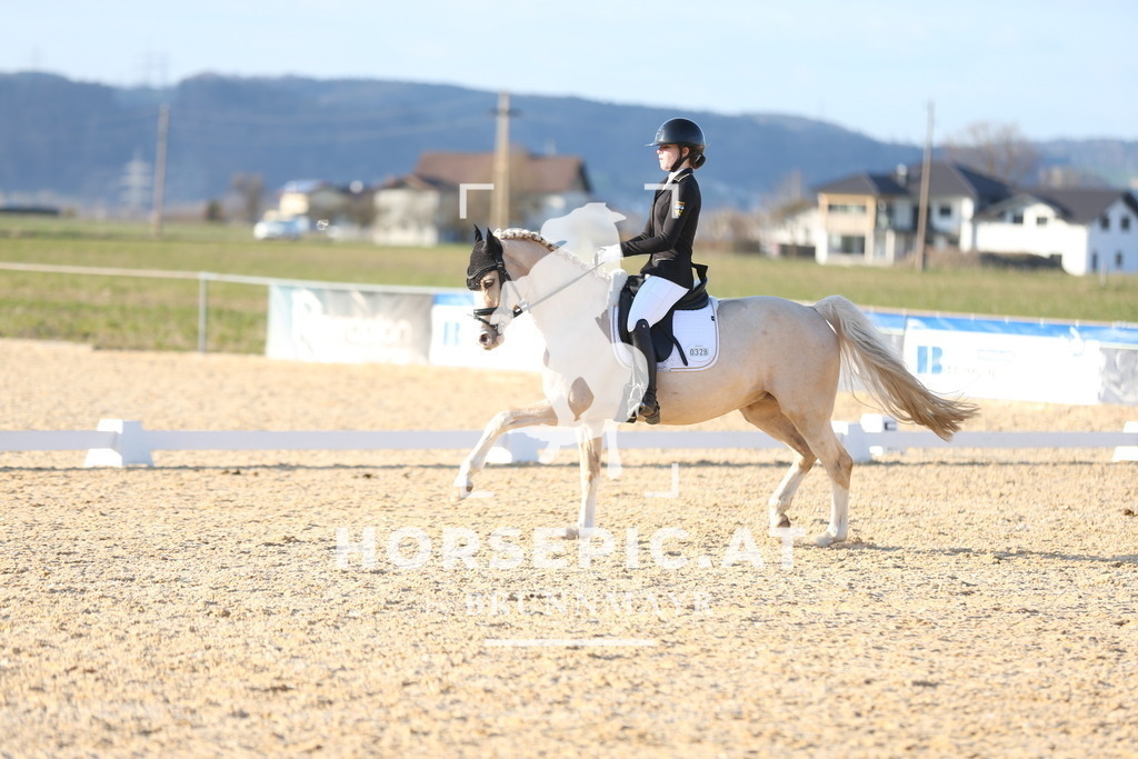 AS8V2253 | Willkommen bei Brunnmayr - Design & Fotografie – Ihrem Spezialisten für Reitturniere und Pferdeveranstaltungen in Oberösterreich, Salzburg und Bayern! Seit über 17 Jahren sind wir leidenschaftlich dabei.