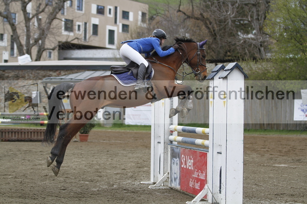 _MG_6030 | equestrian-live-com