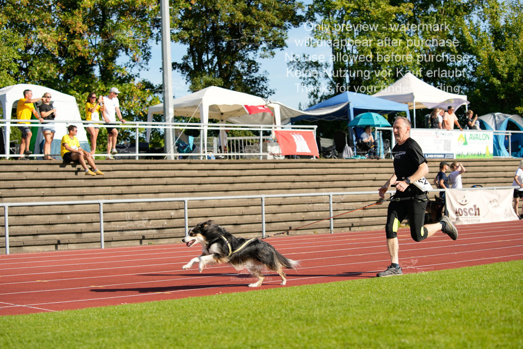 Sonntag_Staffel (294 von 336) | stephaniefillaphotographie - Realisiert mit Pictrs.com