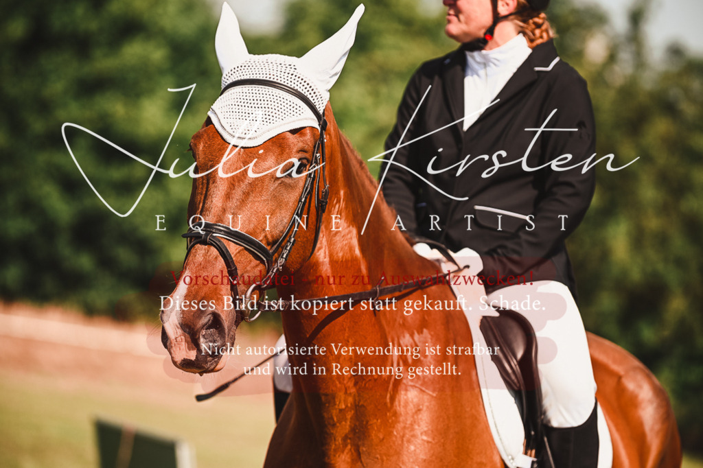 DSC_7352 | Pferde- und Turnierfotografie in Westsachsen. Pferdeportraits, Auftragszeichnungen und intuitive Kunst.