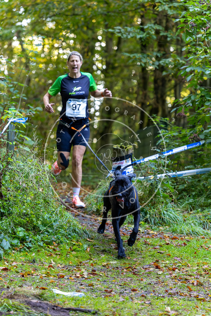 Pfotenfotografie_DV3A7843 | Hundefotografie, Tierfotograf, Pfotenfotografie, Fotoshooting Hund, Hunde Portrait, Hundesport, Hundeportraits, Heideshooting, Hunde, Sportfotograf, Hundefotograf, Turnierhundsport, THS,  - Realisiert mit Pictrs.com