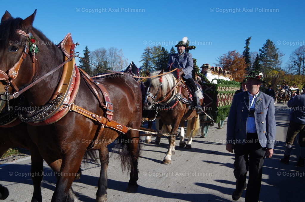 IMGP8320 | fotografiert von Axel PollmannLeonhardi Wallfahrt Benediktbeuern und Murnau, Fronleichnam, Fasching, Landschaft im Loisachtal und Benediktbeuern  - Realisiert mit Pictrs.com
