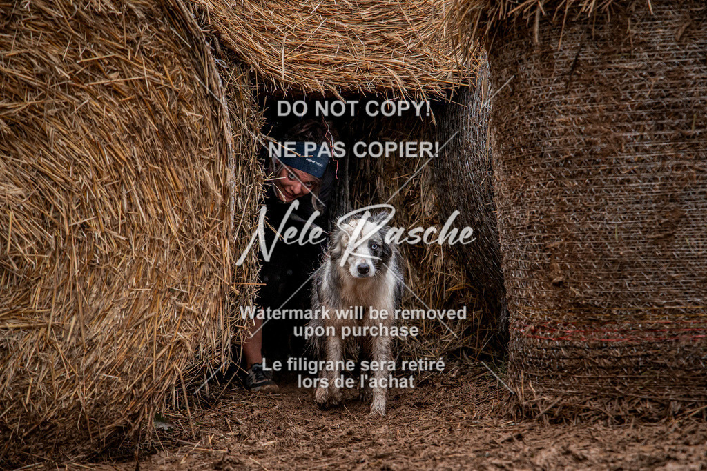 nelerasche_Hunsrück_So09-11_86 | nelerasche