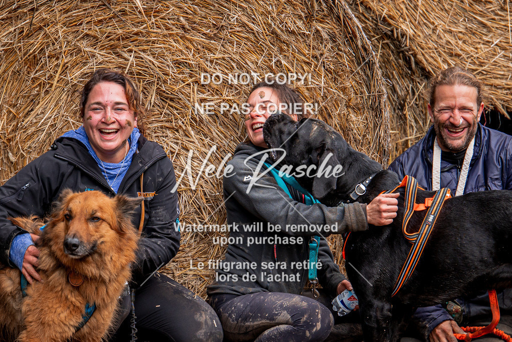 nelerasche_Hunsrück_So09-11_338 | nelerasche