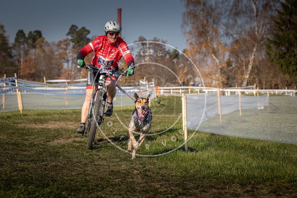 CaniXpix_0L8A8095 | Hundefotografie, Tierfotograf, Pfotenfotografie, Fotoshooting Hund, Hunde Portrait, Hundesport, Hundeportraits, Heideshooting, Hunde, Sportfotograf, Hundefotograf, Turnierhundsport, THS,  - Realisiert mit Pictrs.com