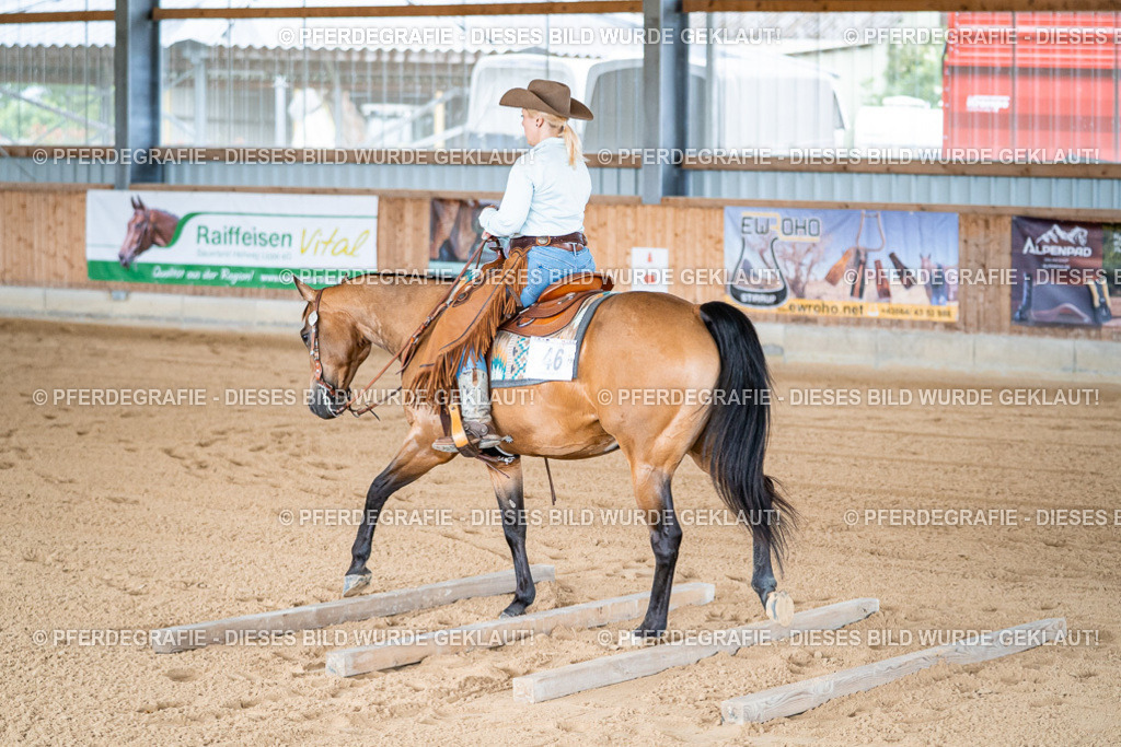 DSC07920 | Pferdegrafie