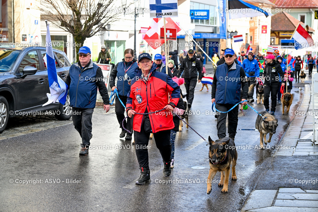 ASVÖ_ Tracking Dog World Championship 2025_ 31.03.2025-195 | 31.03.2025, AUT, ASVÖ, Tracking Dog World Championship // FCI IGP Fährtenhundeweltmeisterschaft 2025©fodo.media / Harald Dostal - Realisiert mit Pictrs.com