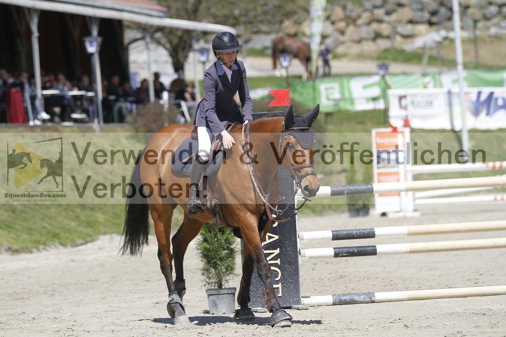 _MG_5665 | equestrian-live-com