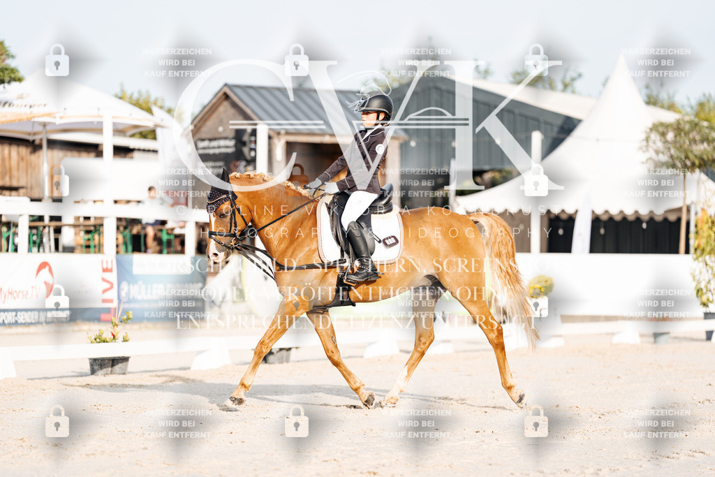 CK903714 | Turnierfotografie Pferdefotografie Trier Rheinland-Pfalz Pferdesport Reitsport Tierfotografie Sportfotografie Pferdevideo Pferdevideografie Equestrianvideography equestrianphotography  - Realisiert mit Pictrs.com