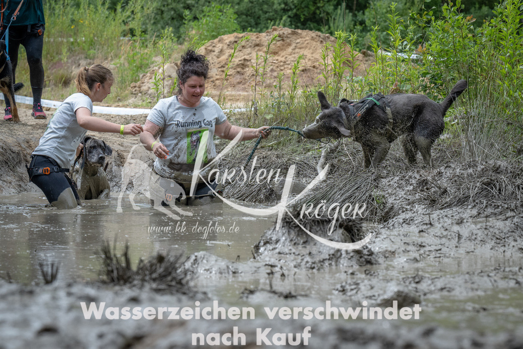 1102_ZZ91526 | kk-dogfotos