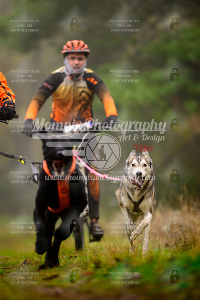 MompixPhotography_Bischwiller2025_Bike-41 | mompixphotography