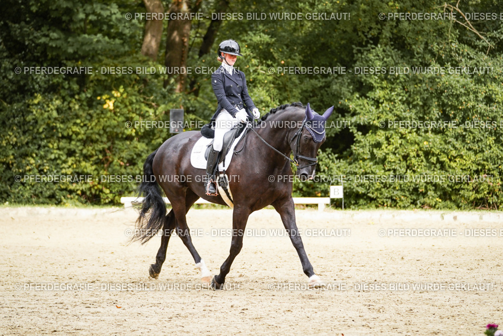 DSC00054 | Pferdegrafie