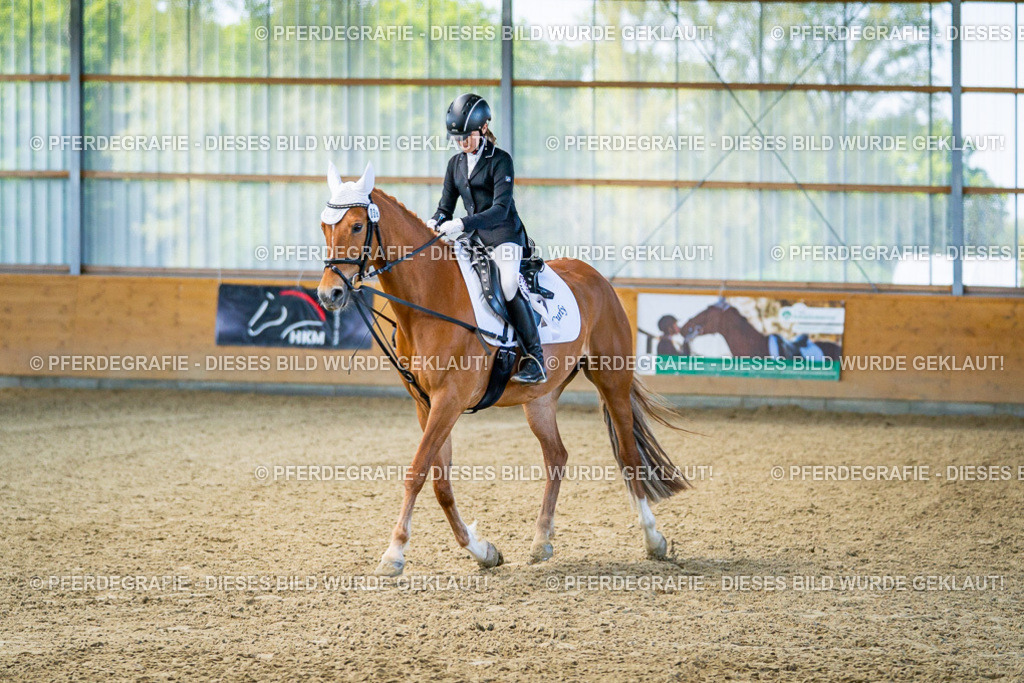 DSC03112 | Pferdegrafie