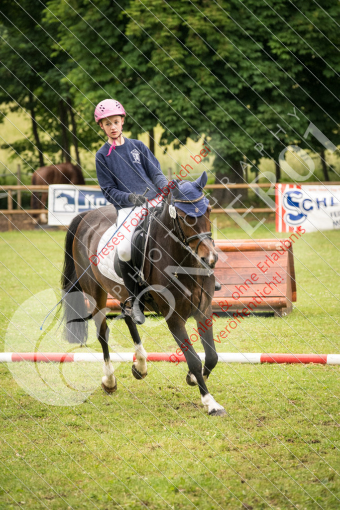 DSC_4777 | Sport-, Event- und Tierfotos in Profiqualität. Einfach auswählen, bestellen und herunterladen. Dein Moment – perfekt festgehalten.