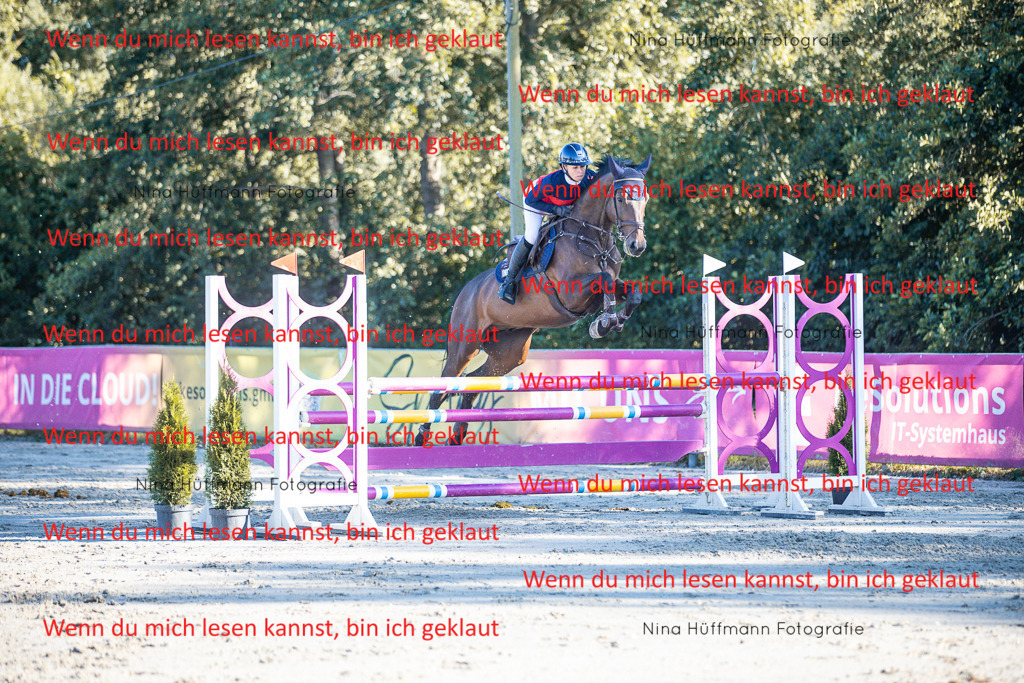 BK1A6195 | Turnierbilder Turnierfotos Nina Hüffmann Turnierfotografie Pferdefotografie Tierzeichnung Haustierzeichnung Pferdezeichnung Hundezeichnung Videograf  - Realisiert mit Pictrs.com