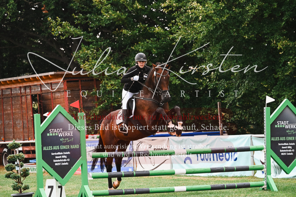 DSC_6567 | Pferde- und Turnierfotografie in Westsachsen. Pferdeportraits, Auftragszeichnungen und intuitive Kunst.