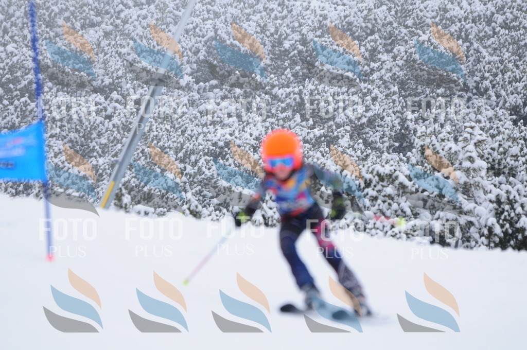 C3347 | holidayphoto