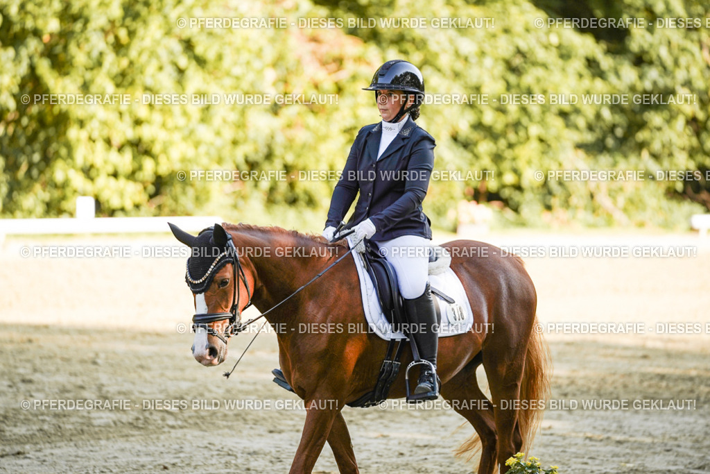 DSC06120 | Pferdegrafie