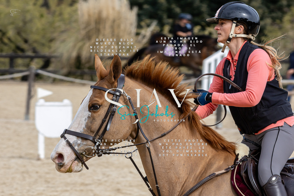 IMG_3831 | s-jay-photography - Realisiert mit Pictrs.com