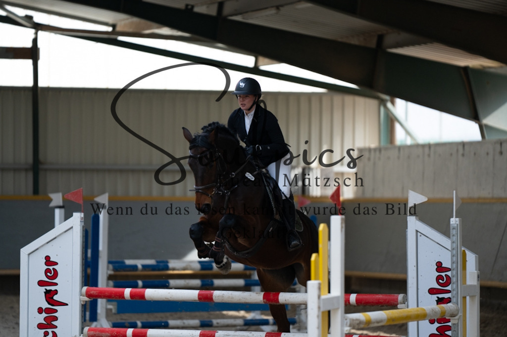 A7V08419 | Pferdefotograf