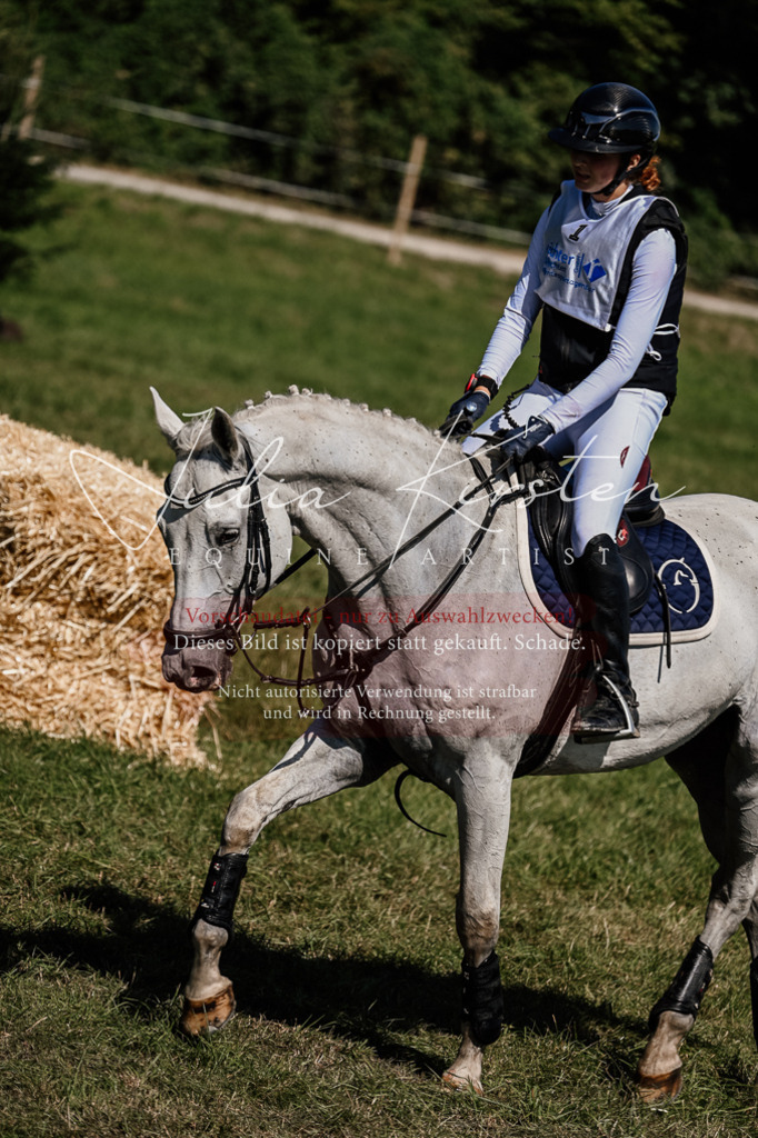 DSC_2058 | Pferde- und Turnierfotografie in Westsachsen. Pferdeportraits, Auftragszeichnungen und intuitive Kunst.