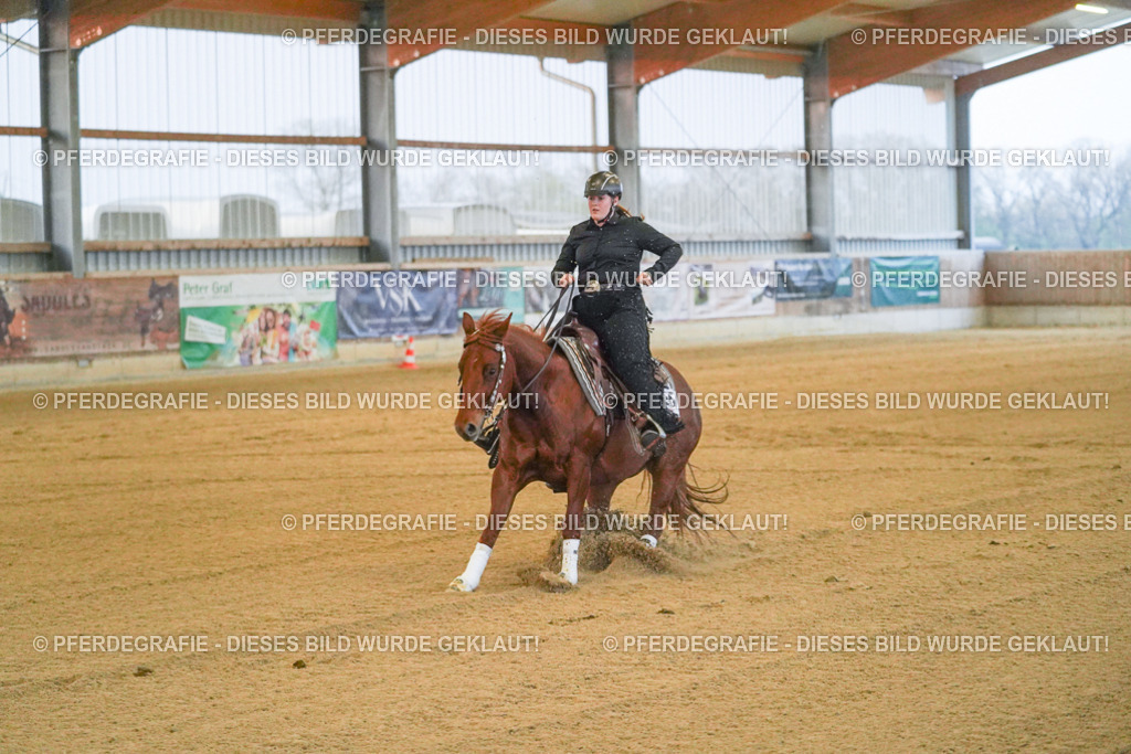 DSC09302 | Pferdegrafie