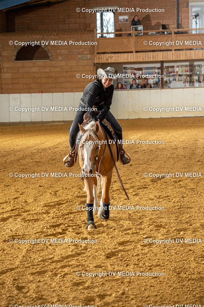 MIT00687 | dv-media-shop - Realisiert mit Pictrs.com