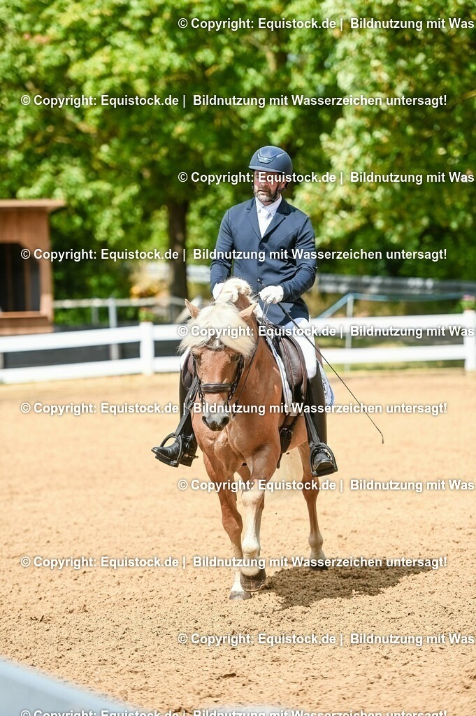 20230716_01_Dressurprüfung Kl.M_0151 | equistock