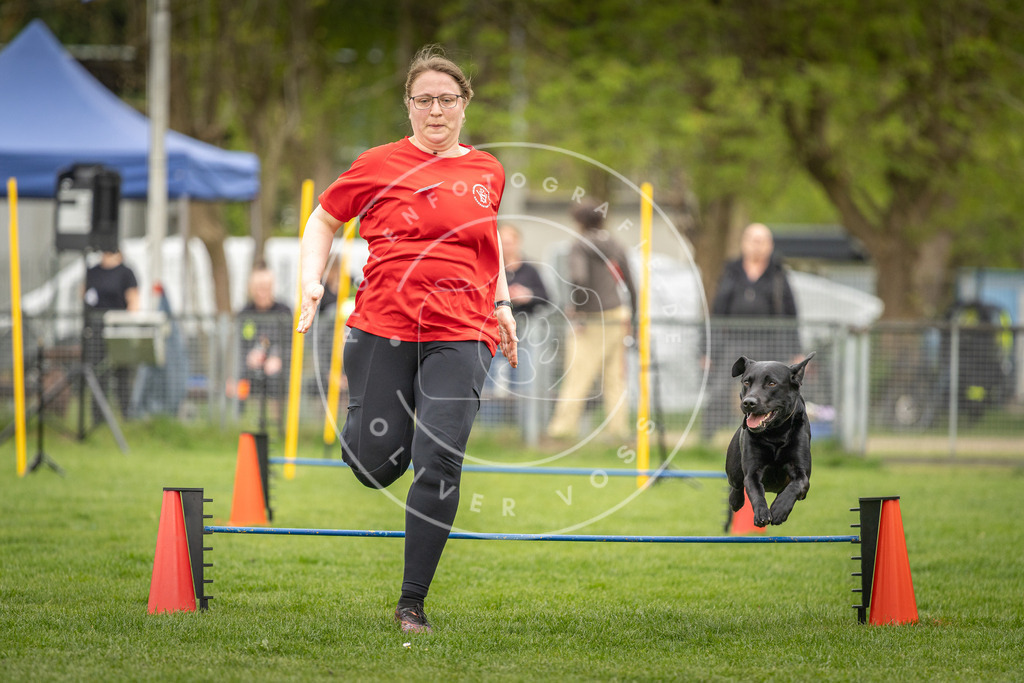 Pfotenfotografie_DV3A0954 | Hundefotografie, Tierfotograf, Pfotenfotografie, Fotoshooting Hund, Hunde Portrait, Hundesport, Hundeportraits, Heideshooting, Hunde, Sportfotograf, Hundefotograf, Turnierhundsport, THS,  - Realisiert mit Pictrs.com