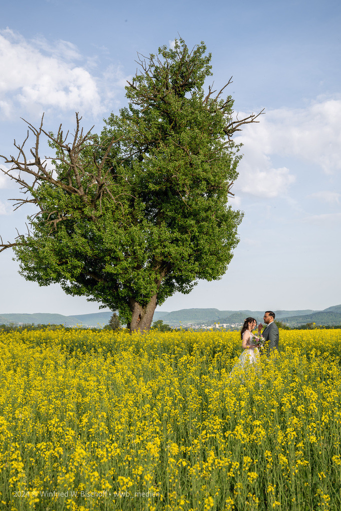 wwb-2505-0986 HZ Barreis | <Fotografie> <Video> <Film> <Winfried Bischoff> - Realisiert mit Pictrs.com