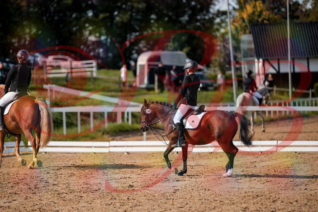 2026_10_03_Siefer-Hof_122032_Z63_43336589 | Professionelle Reitsport-, Turnier- und Eventfotografie von Robert Broda. Galerien mit ausgewählten und bearbeiteten Bildern direkt online ansehen und bestellen.