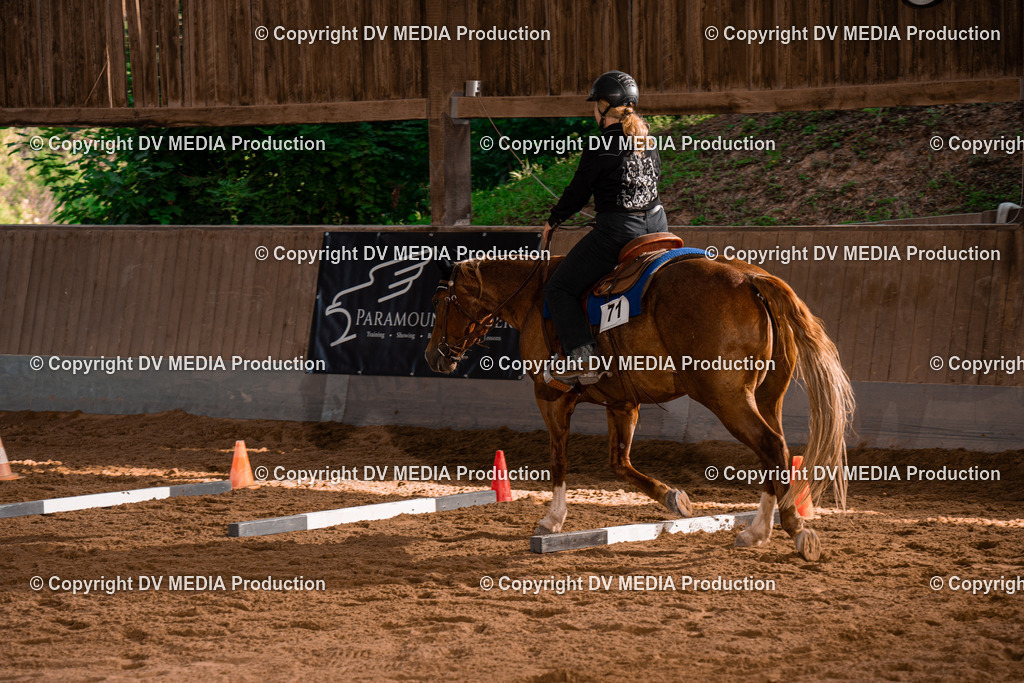 NE101231 | dv-media-shop - Realisiert mit Pictrs.com