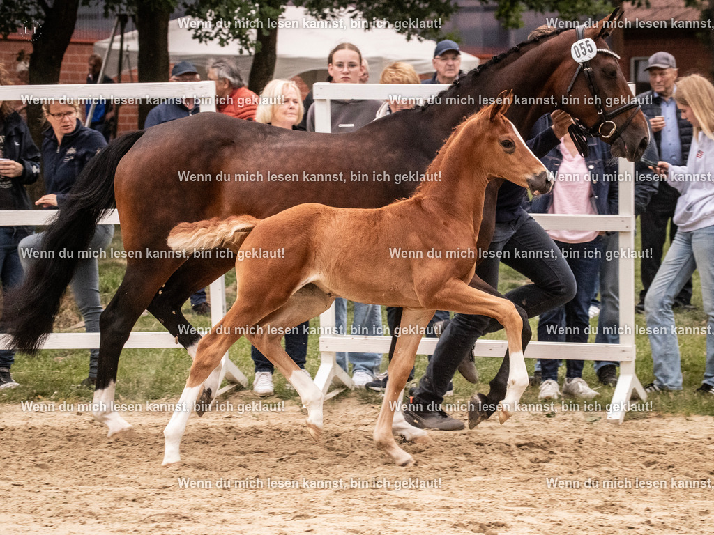 A10I5534 | photographylinaismer - Realisiert mit Pictrs.com