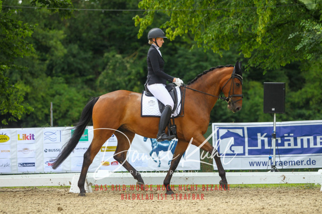 DKP40538 | Turniersportfotografie; Pferdefotografie; Dressurfotografie