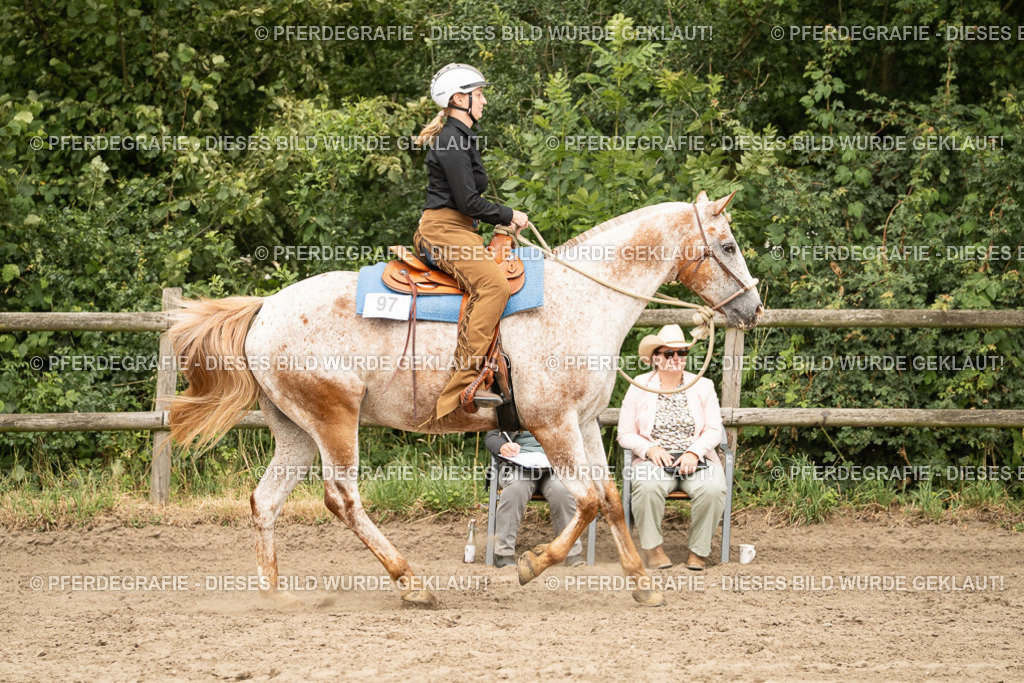 DSC01045 | Pferdegrafie