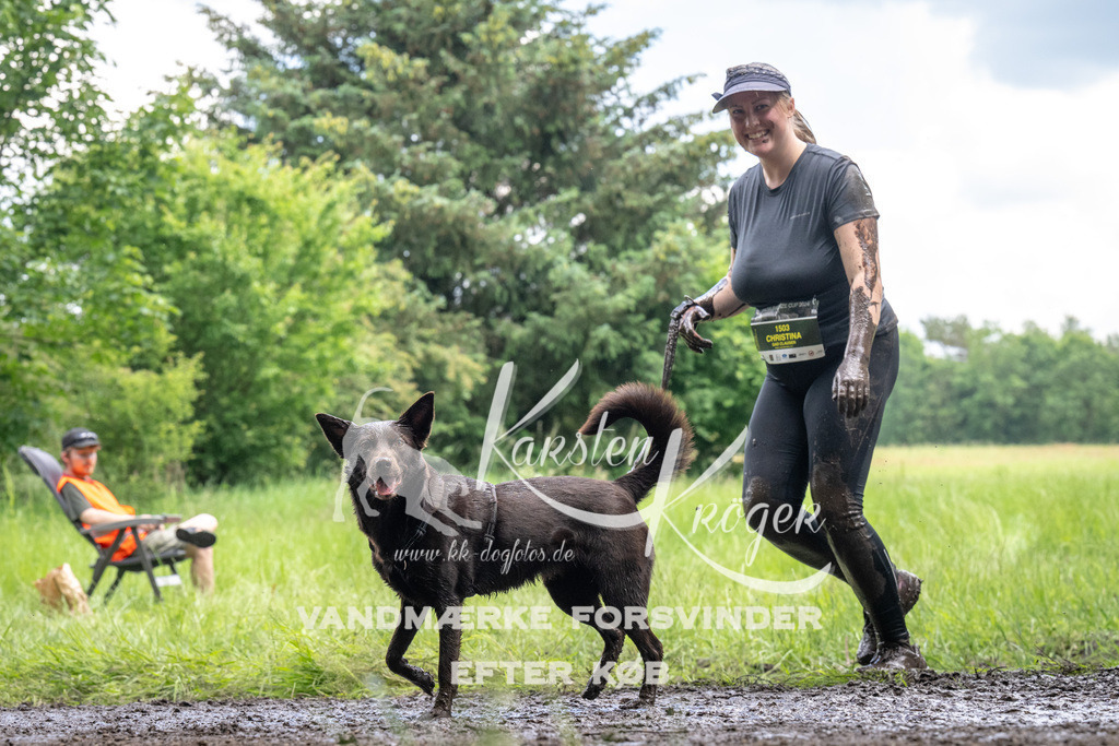 1255_ZZ94225 | kk-dogfotos